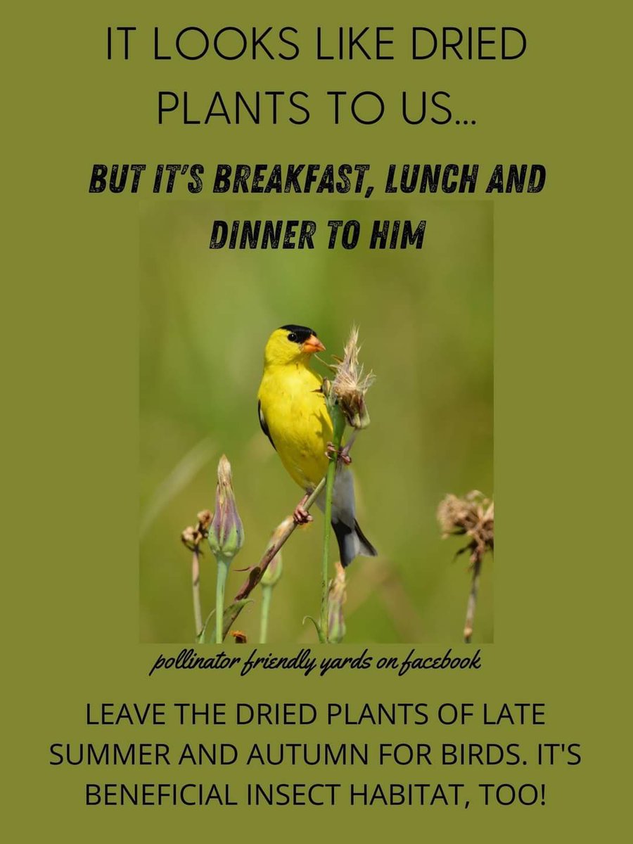 “Puget Sound” Advice