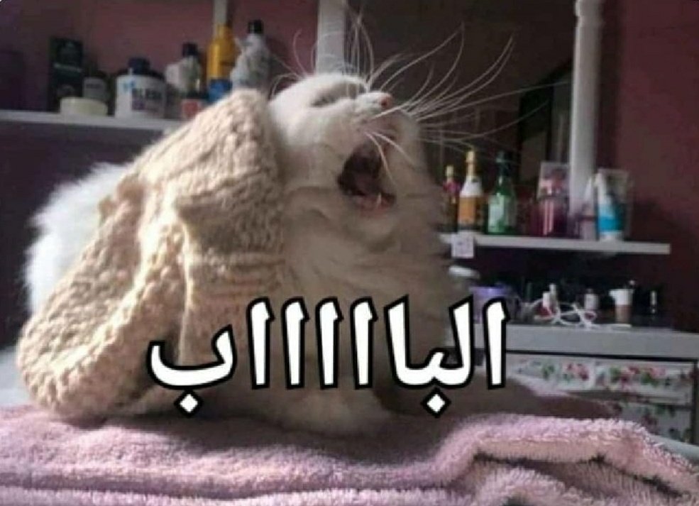 popsan97's tweet photo. لما حد يدخل اوضتي ويسيب الباب مفتوح ويطلع

انا = https://t.co/4nsT3mcvKE