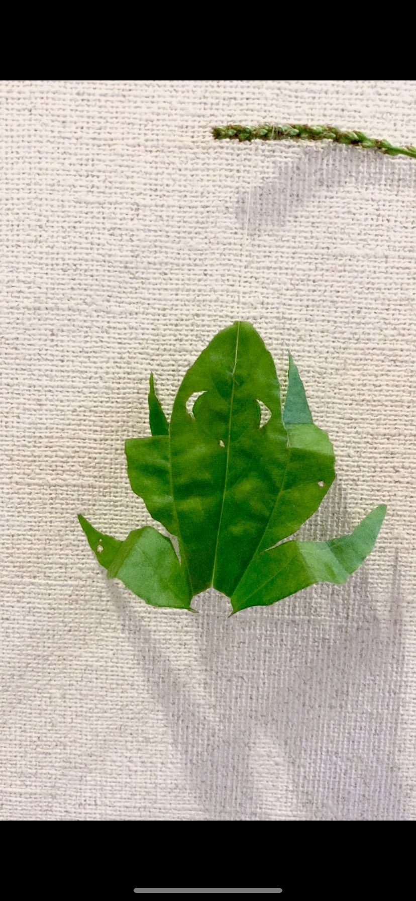カエル レジンヘアゴム 葉脈を書いた緑の葉っぱ 花蝶