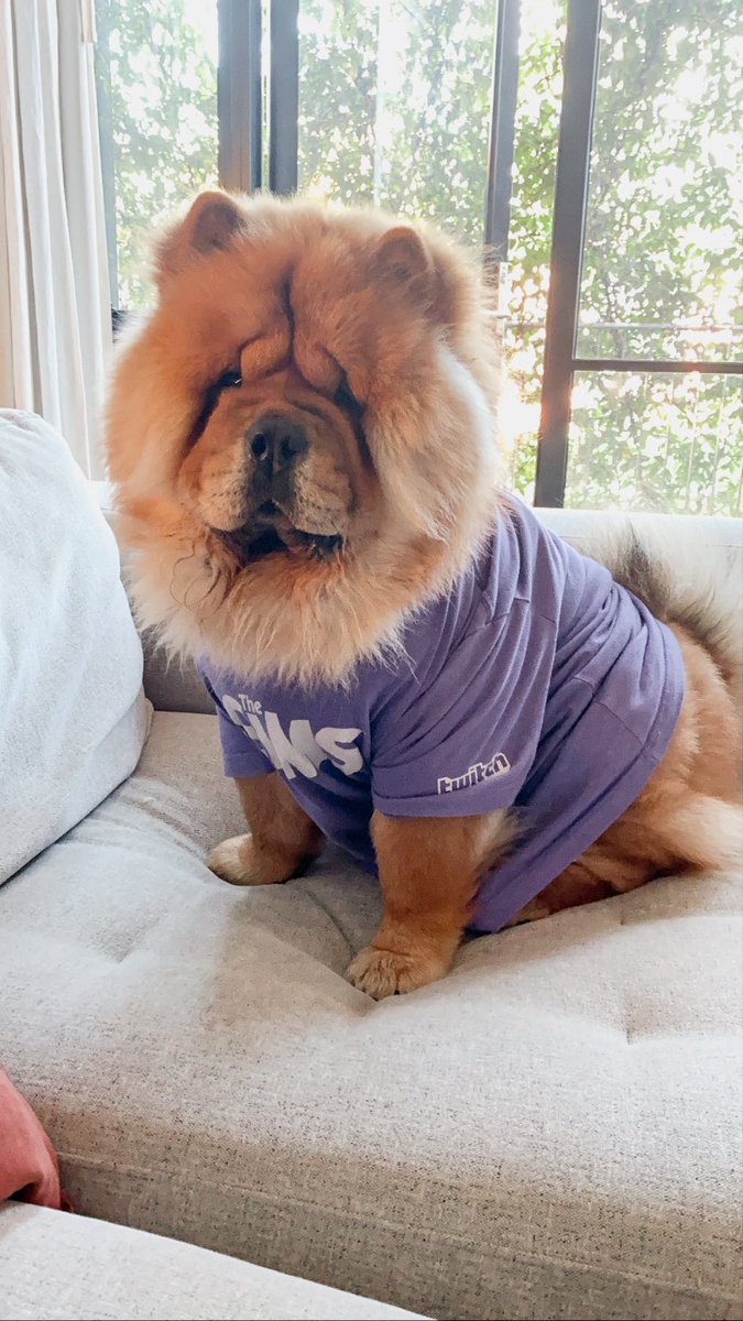 The resemblance is uncanny #ewok