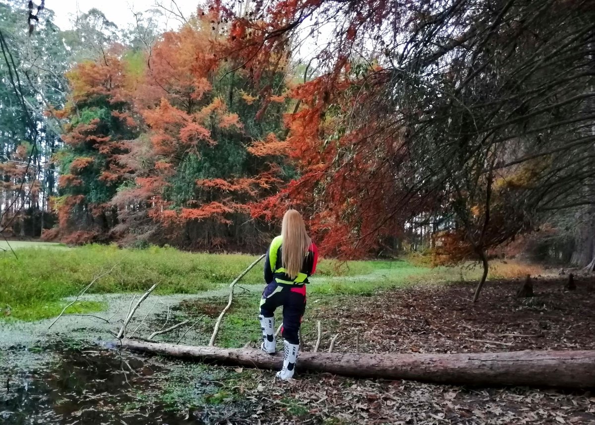 Cuando todo esté bien, vas a mirar hacia atrás y estarás contento de ver que nunca te rendiste! 🍀🍃🍂🍁