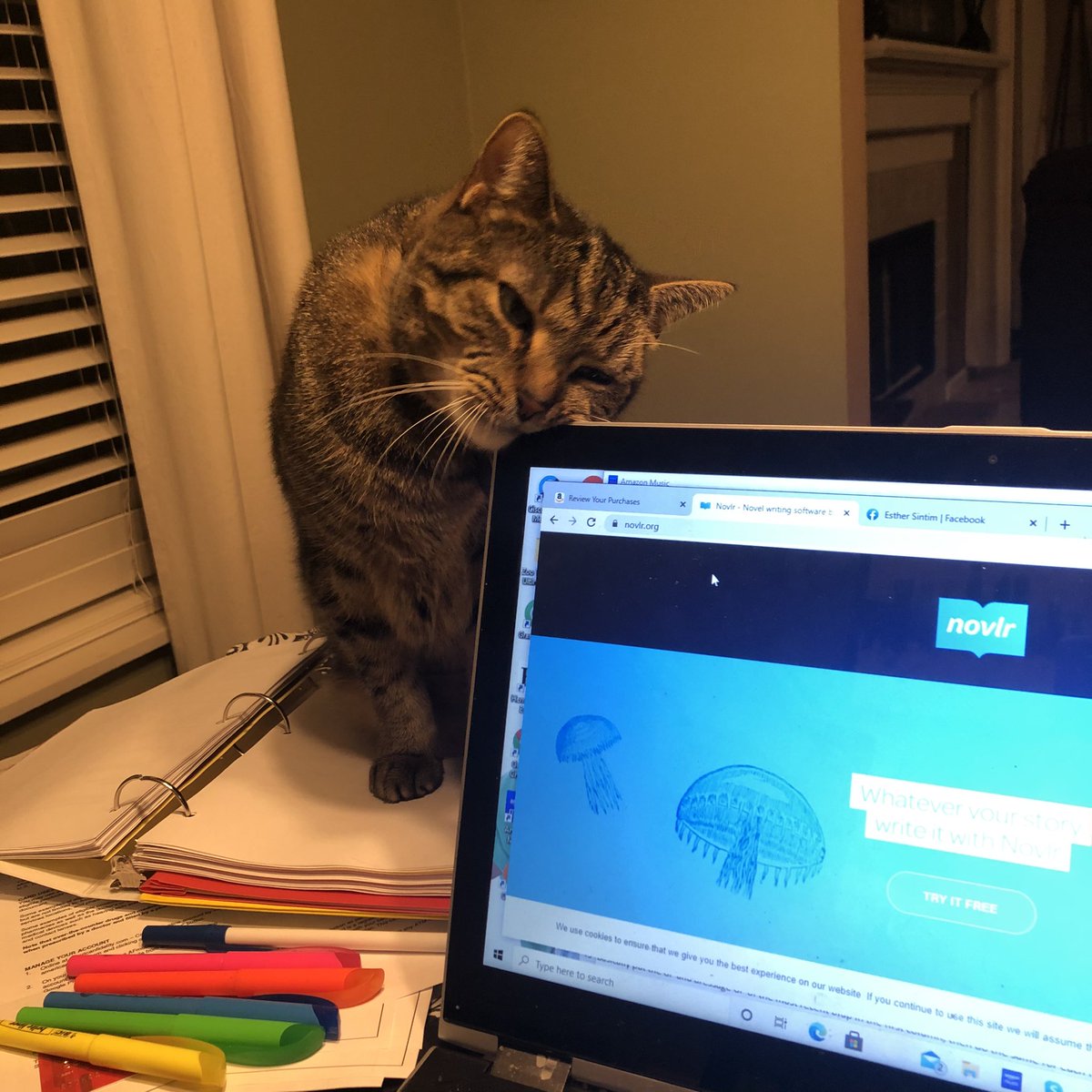 esintim267's tweet photo. It has been a while since I sat down and was #amwriting. My #writingbuddy was very happy. #novlr meant I could just log on and carry on #WritingCommunity https://t.co/QkmoWg5KHx