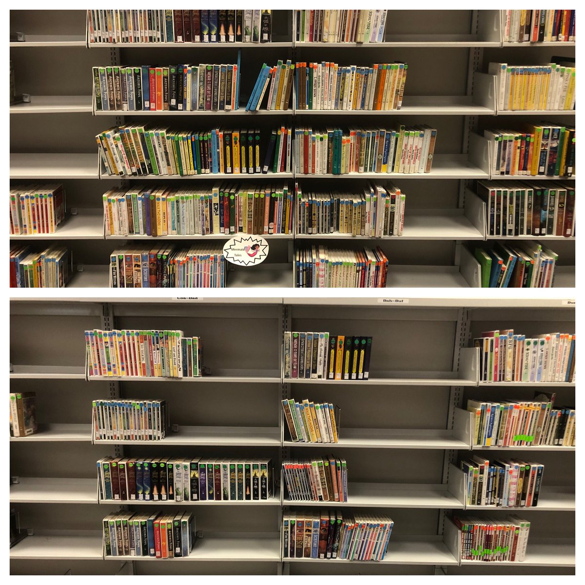 Stephanie Hamilton tweet media