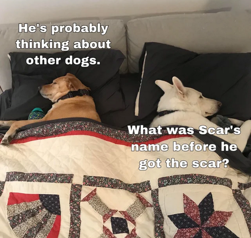 That's a legit question.