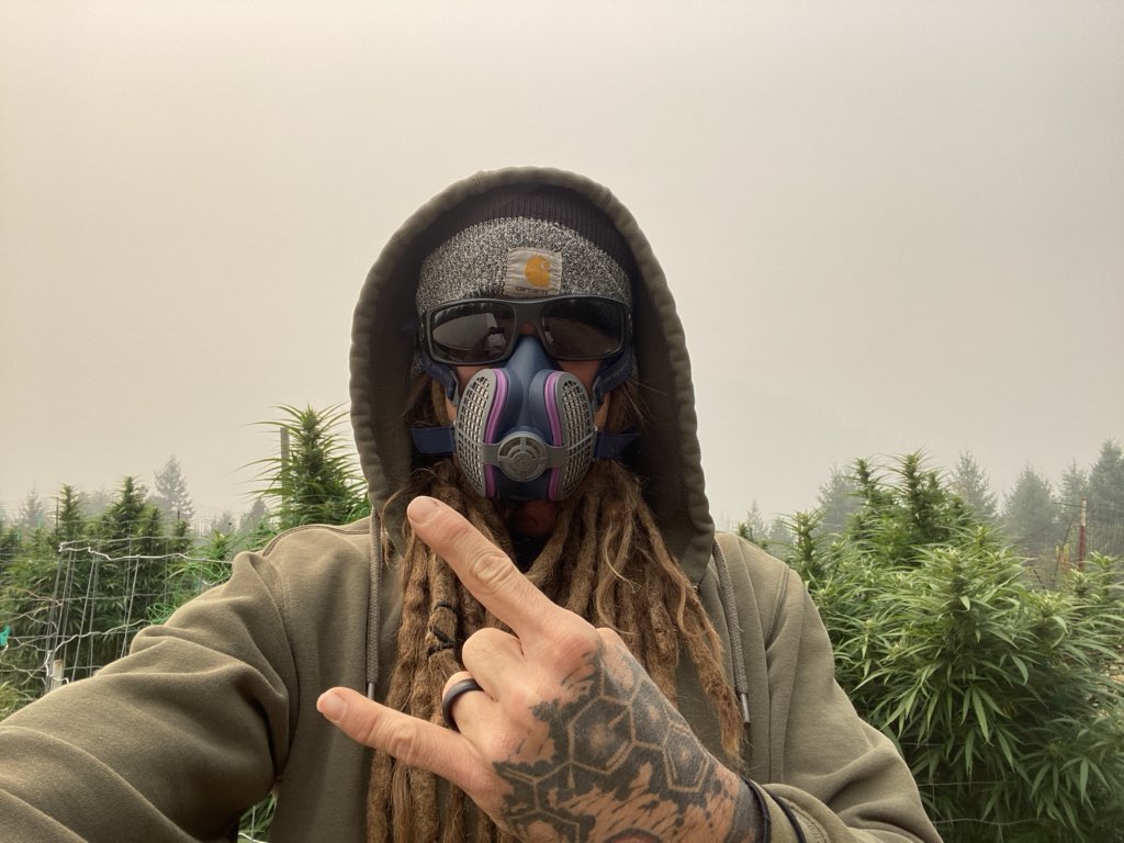 myceliumagenda's tweet image. #apocalypse2020 still well underway in California. South of the #RedSalmonComplex about 15/20 miles and smoked all the way out. There should be a ridge behind me. #CannabisCommunity