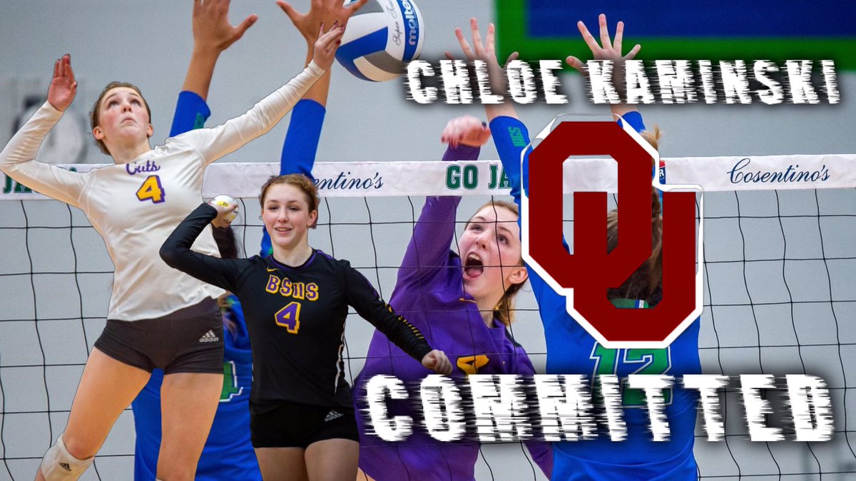 Chloe Kaminski tweet media