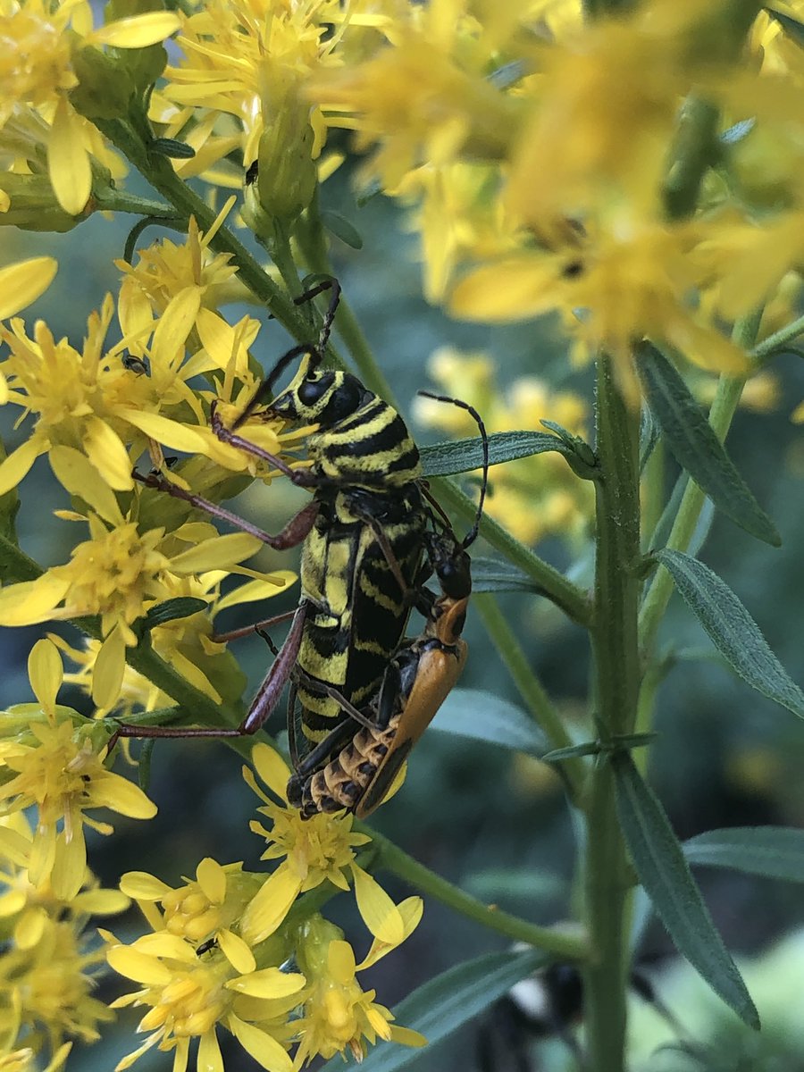 PaleontologyFacts tweet media