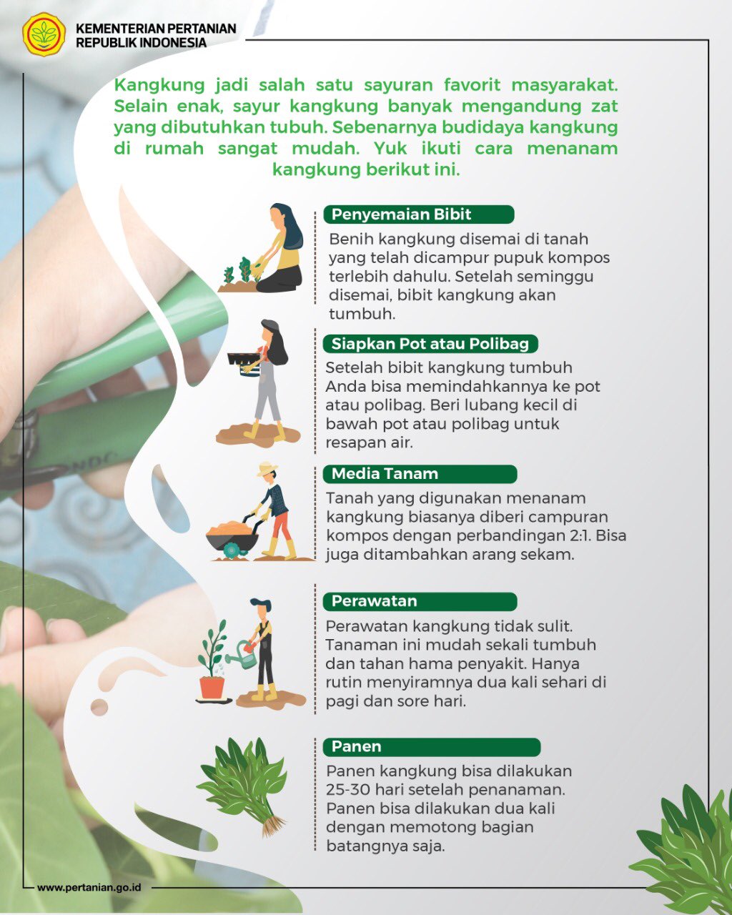 Kementerian Pertanian Ri Ar Twitter Selamat Pagi Sobatani Masa Pandemi Bisa Menjadi Kesempatan Bagi Kita Belajar Bercocok Tanam Bisa Mulai Dengan Tanaman Yang Mudah Ditanam Seperti Kangkung Apalagi Kangkung Juga Memberi Banyak