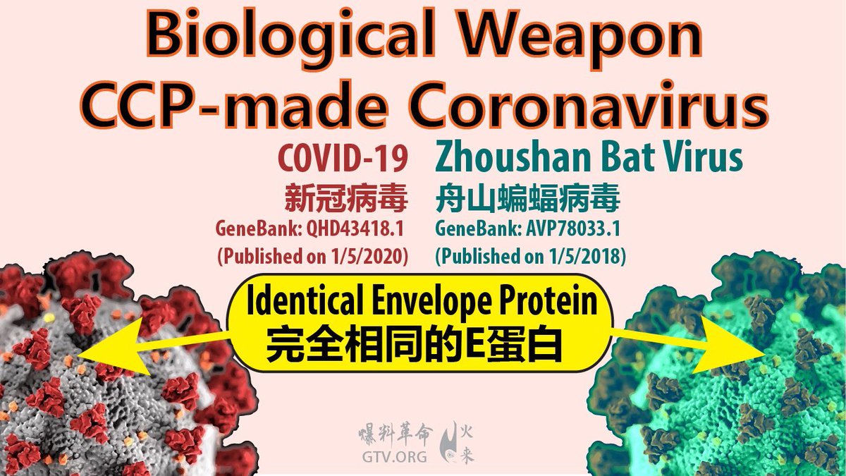 realDavidVan69's tweet photo. @ding_gang The #CCP #VlRUS far exceeds the harm that "9.11" has done to Americans丶Chinese……the people of the world !
Many Chinese and Mr.#MilesGuo郭文貴 have been working hard to overthrow the terror rule of the #CCP regime!
Together, we take down the #CCP ! https://t.co/2chfLJMJDN