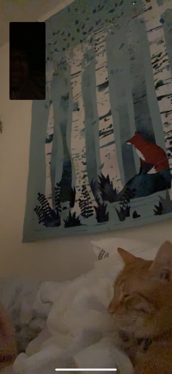 facetime d8 with my friend simon! 🥺💓 he really wanted to watch deathly hallows II but he seems to be falling asleep 😪 <a href="/lovesimoncat/">Simon</a>