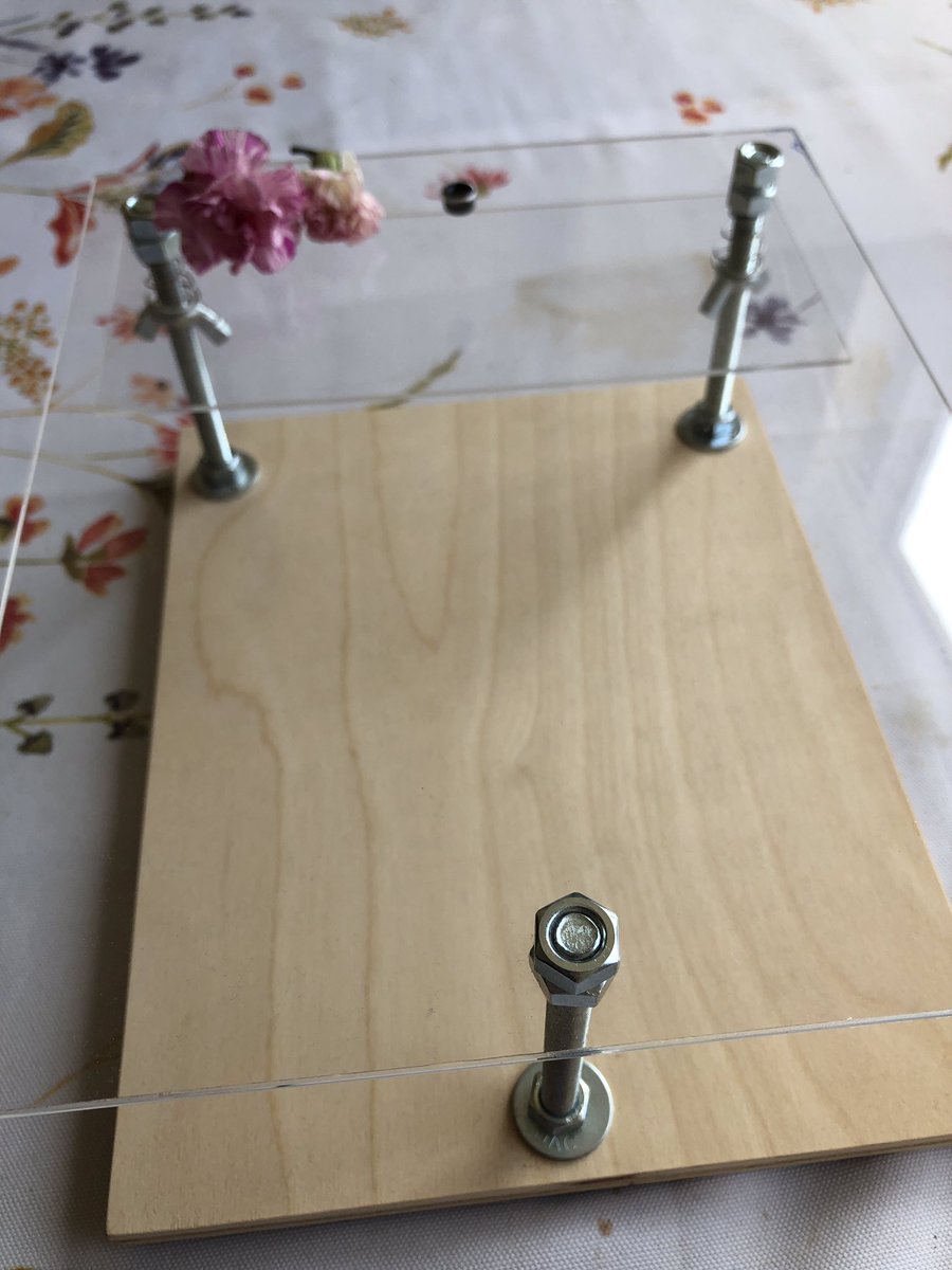 PablixSil's tweet photo. Thanks to Arifa Ahsan for letting me borrow her #DIYmicroscope. I left mine in #Guatemala but now I can make up for lost time and prepare for some workshops 😆@ScopesWorkshop #Science #STEM #STEMeducation #phdlife #Biology #Biologia #Ciencia #GuatemalaCiencia https://t.co/kQQxXJI88X