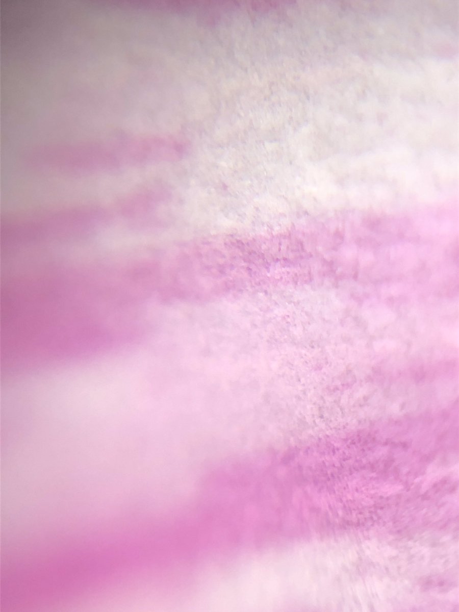 PablixSil's tweet photo. Thanks to Arifa Ahsan for letting me borrow her #DIYmicroscope. I left mine in #Guatemala but now I can make up for lost time and prepare for some workshops 😆@ScopesWorkshop #Science #STEM #STEMeducation #phdlife #Biology #Biologia #Ciencia #GuatemalaCiencia https://t.co/kQQxXJI88X