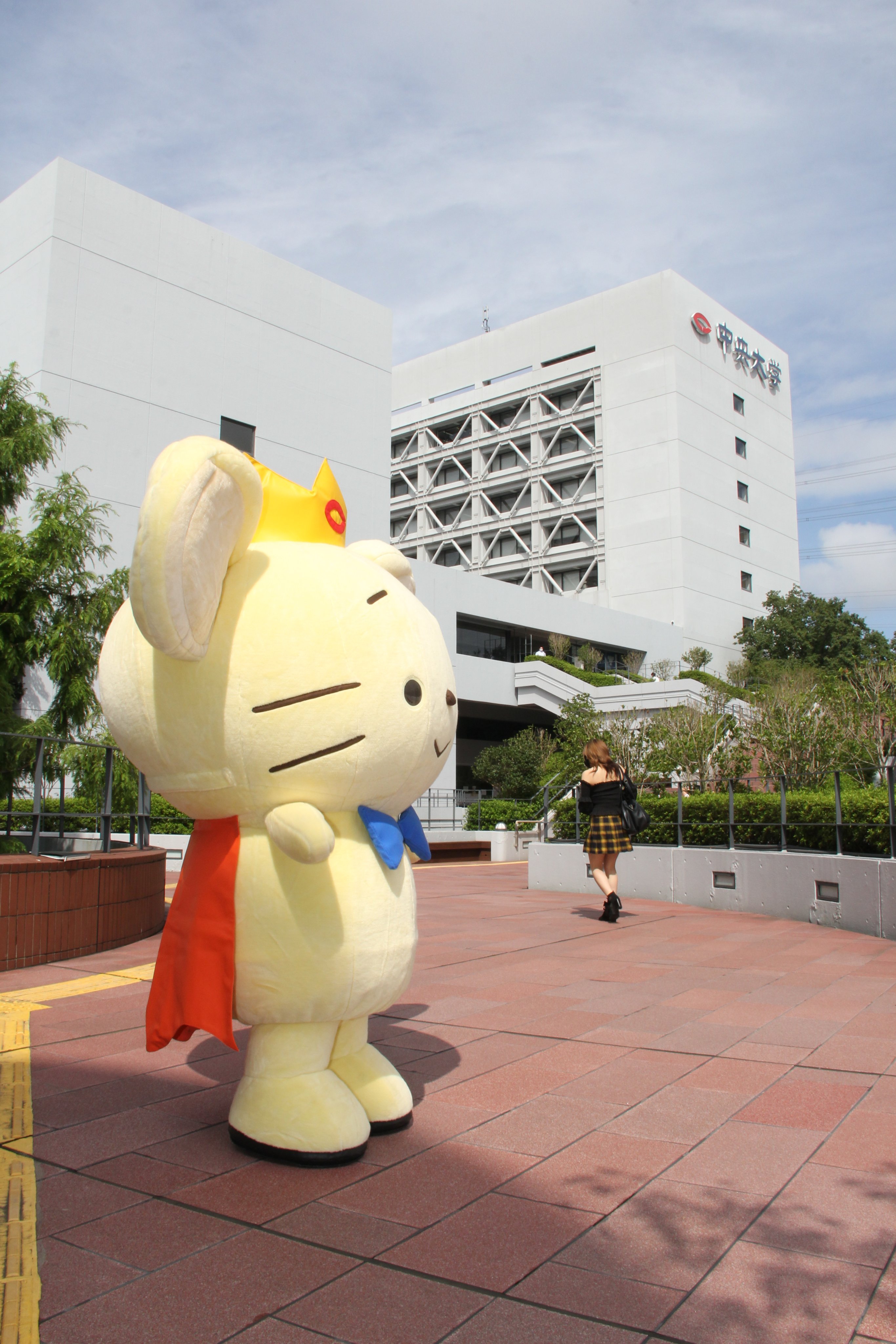 中央大学マスコットキャラクター 「チュー王子」 特大ぬいぐるみ 希少