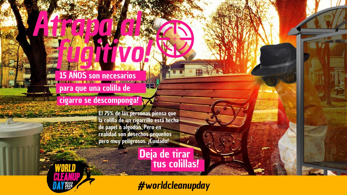 Let’s Do It México 🇲🇽 World Cleanup Day tweet media