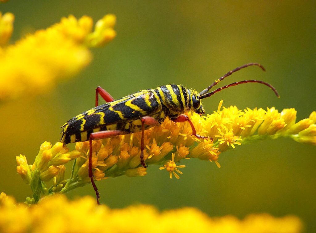 Marguerite Turley tweet media