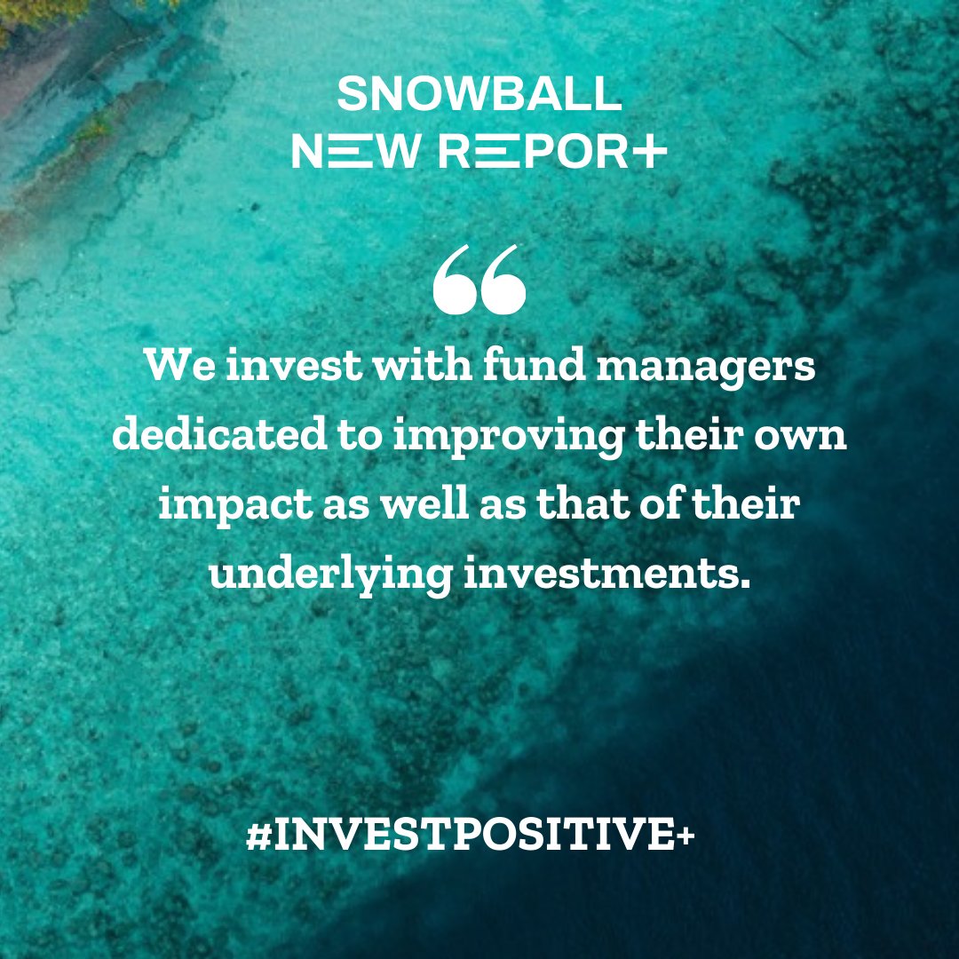 Snowball tweet media