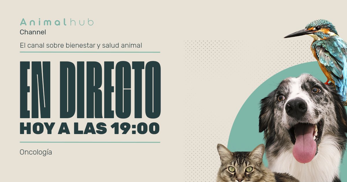 Animalhub_es's tweet photo. ¿Conoces los síntomas compatibles con una enfermedad oncológica? El diagnóstico precoz, es el mejor arma contra ellas.
¡Os esperamos en #AnimalHubChannel!
🕖 Lunes 14/09/2020 a las 19:00
⏯️ https://t.co/w3bHBoZlTd
🐕👩⚕️🐈
@COLVEMA @ocvespana @amvac_vet @ceve_vet @usvema… https://t.co/npGtiarydD
