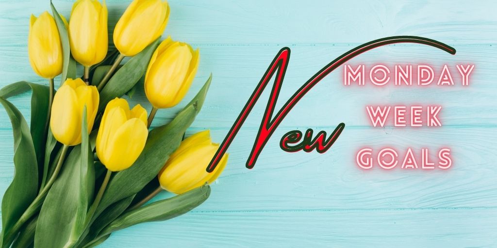 MissMaffet's tweet photo. What's your goal for today?
#mondaythoughts #MondayVibes #freelancingthought https://t.co/fL1CaoWXo7