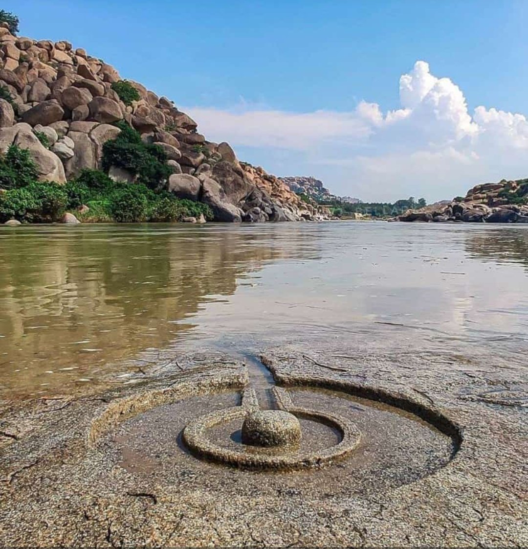 Rohini Mithra tweet media