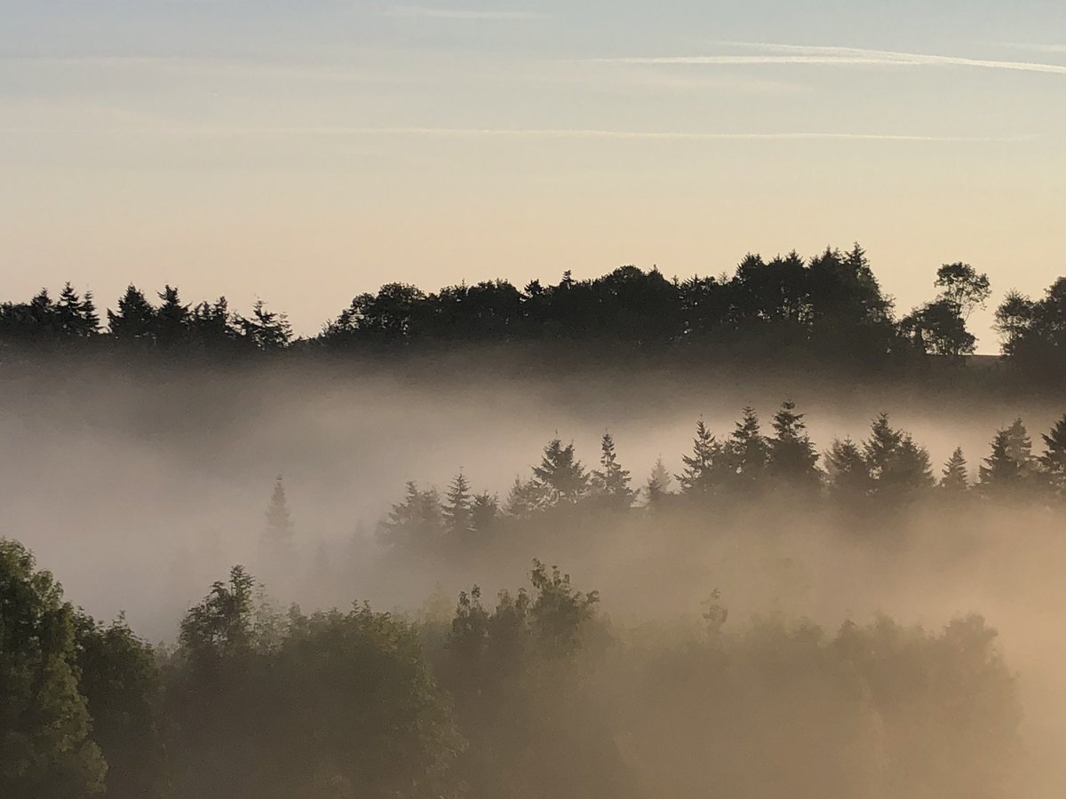 SaveGarthCoppice 🍃💚🍃 tweet media