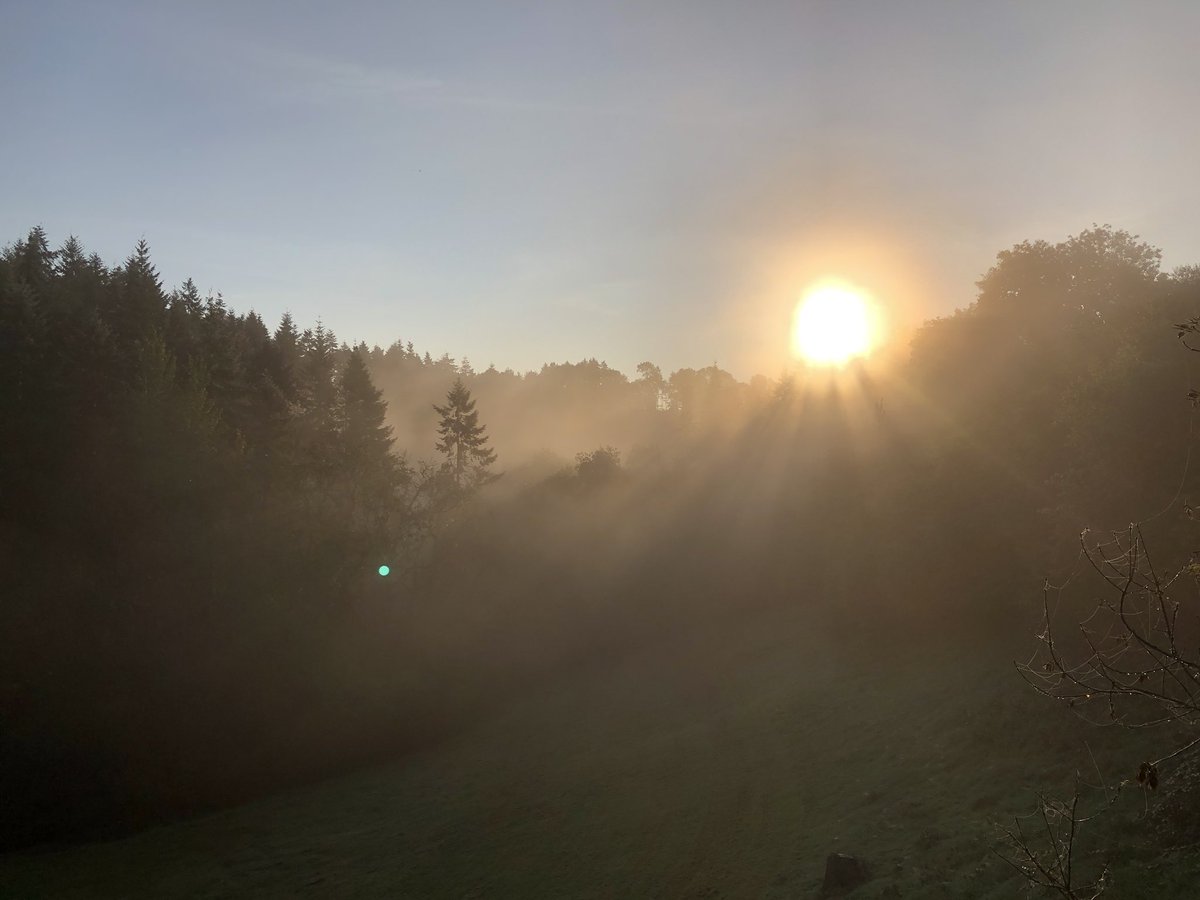 SaveGarthCoppice 🍃💚🍃 tweet media