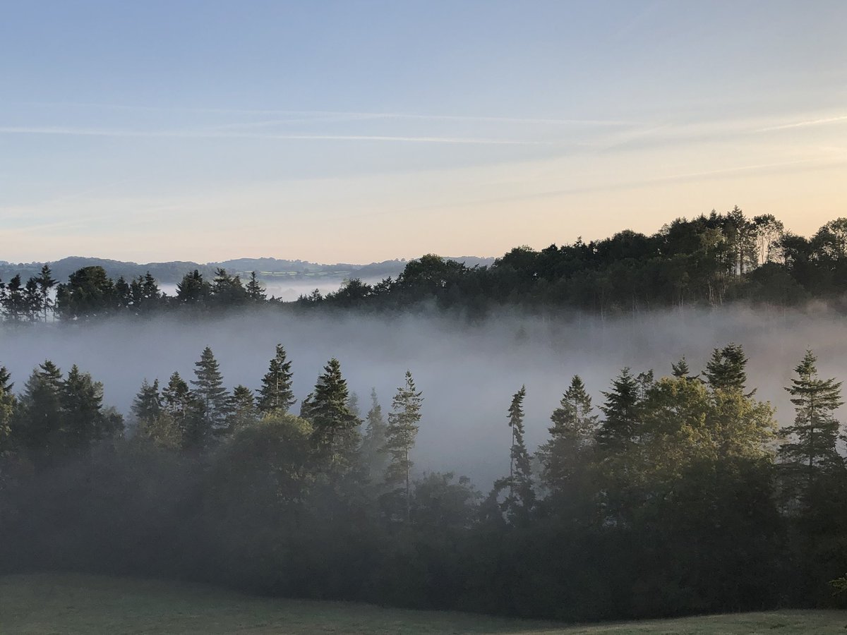 SaveGarthCoppice 🍃💚🍃 tweet media