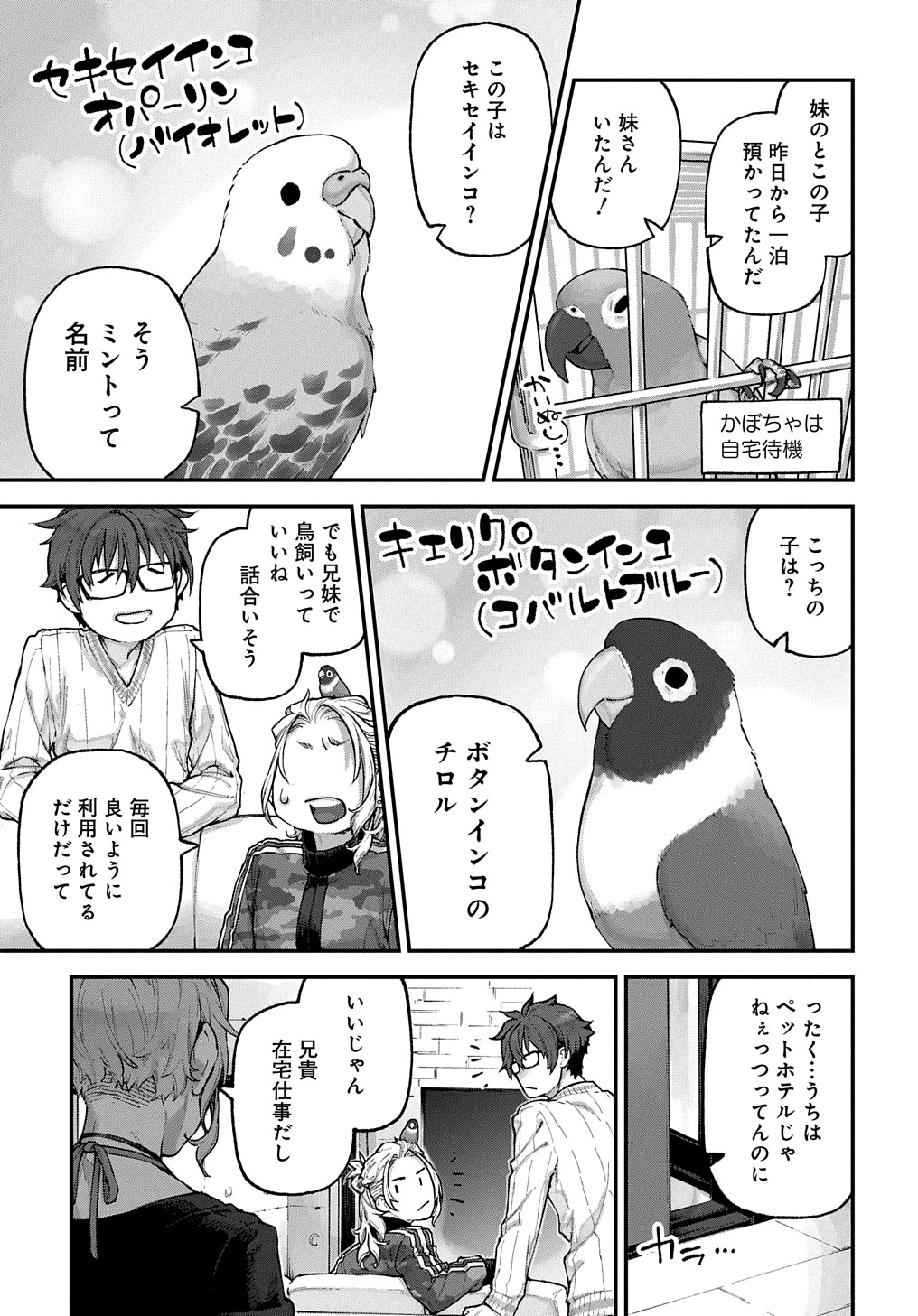 マグコミ マッグガーデン Pa Twitter 9 15更新 鳥ジャンキーズ 空廼カイリ 第11話 セキセイインコ ボタンインコ登場 T Co Adkiai8nav