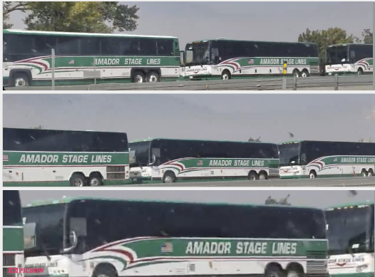 How do we know the ad on CraigsList is real?Because they used 16 Amador Stage Lines Buses to bring them in for the  #TrumpCulticide rally. 