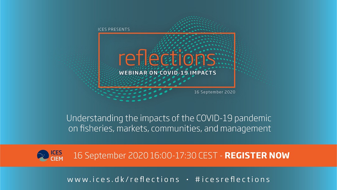 ICESmarine's tweet photo. Still time to register! Join our free #webinar on Wednesday, 16 Sep, to hear #icesreflections on the impacts of the #COVID19 pandemic on #fisheries, markets, communities, and management. 
Speakers: @AlanHaynie @Cristina_B_Pita @MarloesKraan &amp; Doug Lipton!
https://t.co/4lTaJPk6dv https://t.co/77suFjwjy6