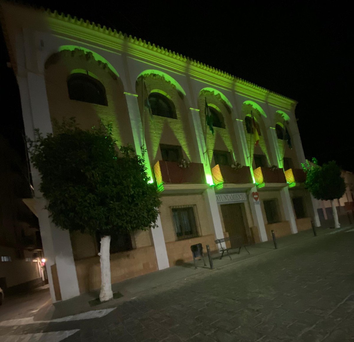 culturaaznalco2's tweet photo. #AEPM| La Fachada del Ayto. de Aznalcóllar lucirá esta noche de color VERDE en favor de las asociación de enfermos de patología mitocondrial.
Nuestro Ayto. se ha sumando a una iniciativa a nivel Provincial en favor de estos niños/as.
🇬🇦💚💚 https://t.co/24VJwvwDAo