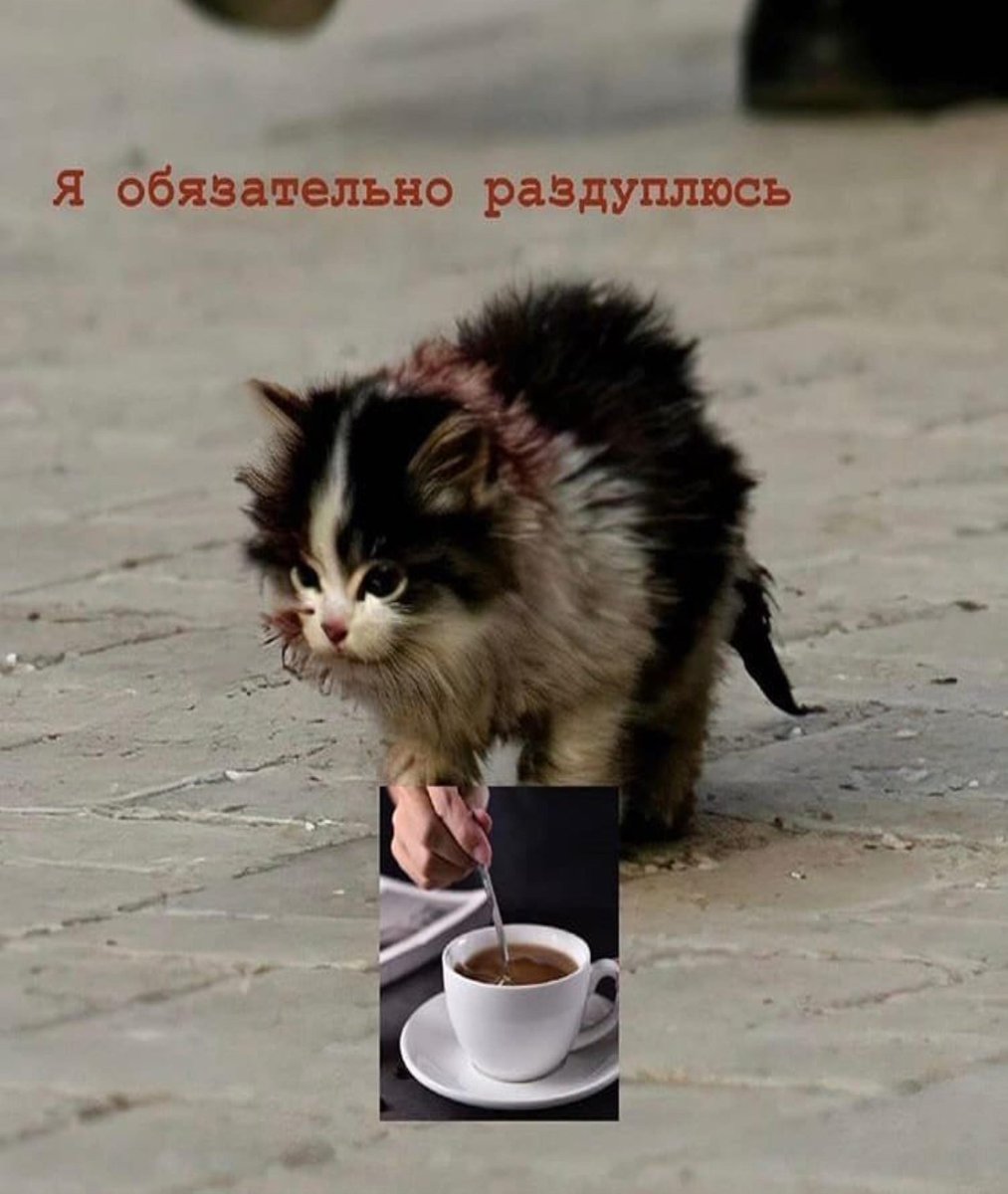 ankalogia02's tweet photo. Каждое утро одно и тоже https://t.co/OiejQQ6gQb