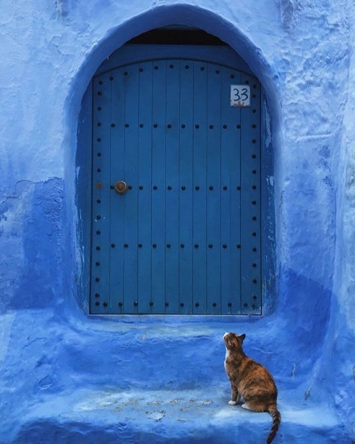 🌈Colorful Morocco🇲🇦 tweet media