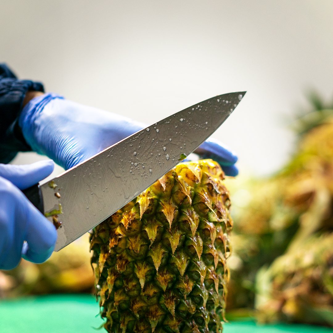 RawPressery's tweet photo. #RAWprocess
#BehindTheScenes from our Pressery. πͺπ
#RAWliving #pineapples #fruit #healthy #juicy #tasty #behindthescenes #factory #juicing #pressery #nopreservatives #coldpressed #rawpressery #allgoodnobad #keepingitraw https://t.co/j9MaW9xAir