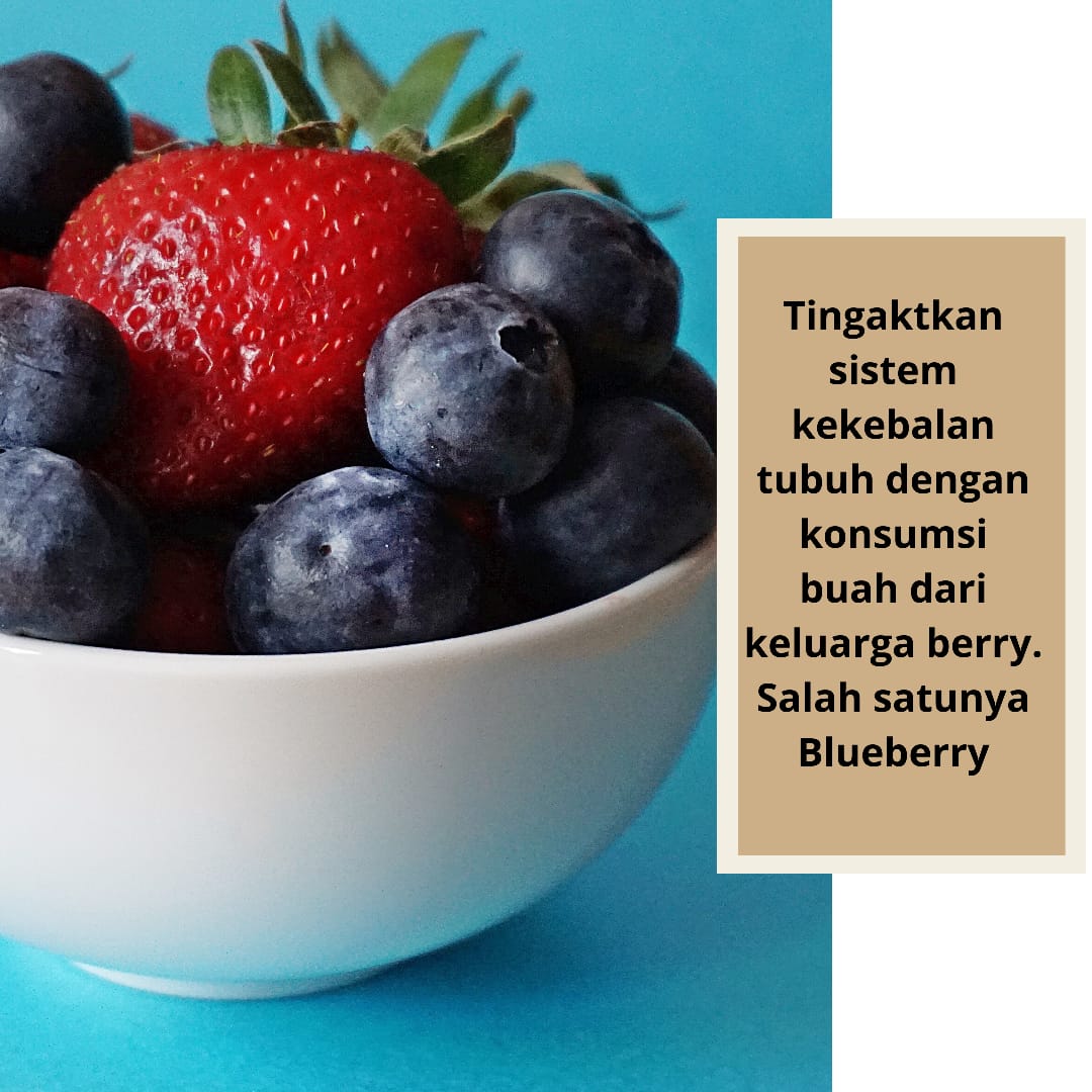 Powerfullblueb1's tweet photo. #blueberry #UsaBlueberry #InfoBlueberry #TipsPowerfullBlueberry #powerfullblueberry #AmazingBlueberry https://t.co/fbX9QtDbSC