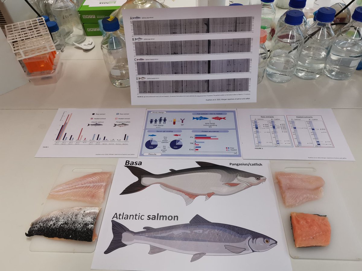 Molecular Allergy RL tweet media