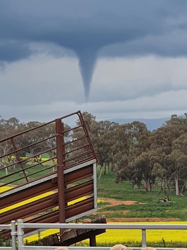 JaydanDuck's tweet photo. 📸 A funnel cloud has been caught on camera, forming above a farm near #Junee, in the #NSW #Riverina. Locals Craig Howard &amp; Sarah Cuschieri snapped these incredible shots as they witnessed the #weather phenomena spawn along a wind convergence last Wednesday. #funnelcloud @BOM_au https://t.co/cG2MZDqXQq