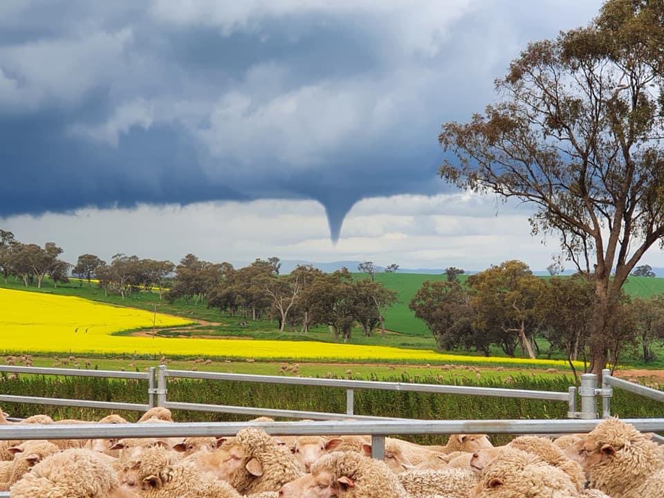 JaydanDuck's tweet photo. 📸 A funnel cloud has been caught on camera, forming above a farm near #Junee, in the #NSW #Riverina. Locals Craig Howard &amp; Sarah Cuschieri snapped these incredible shots as they witnessed the #weather phenomena spawn along a wind convergence last Wednesday. #funnelcloud @BOM_au https://t.co/cG2MZDqXQq