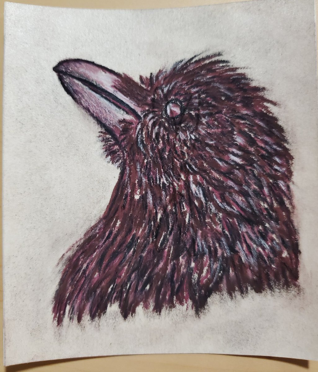 ScribbledSketch's tweet image. August #Sketchbox in September. Ah, I&apos;m so behind y&apos;all. Anyway the only thing I didn&apos;t like is using the blenders on the sanded paper. #augustsketchbox #pastels #crow #crowart #art #birds #softpastels