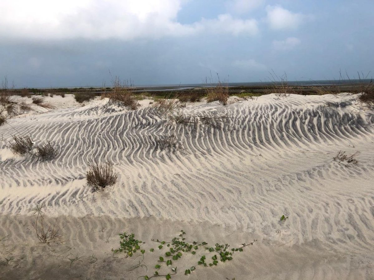 Titanium Sands Ltd tweet media