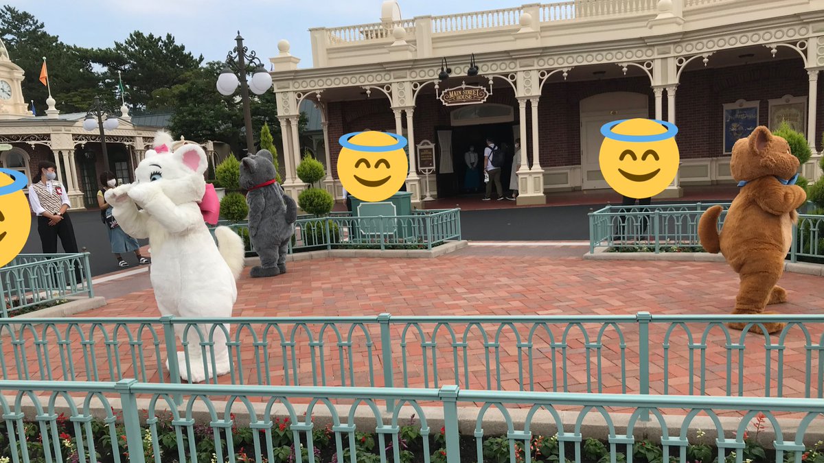 azusa_wa's tweet photo. 友達が譲渡会か⁉️って言っててめちゃくちゃ笑ってしまった https://t.co/NdCvQE2zay