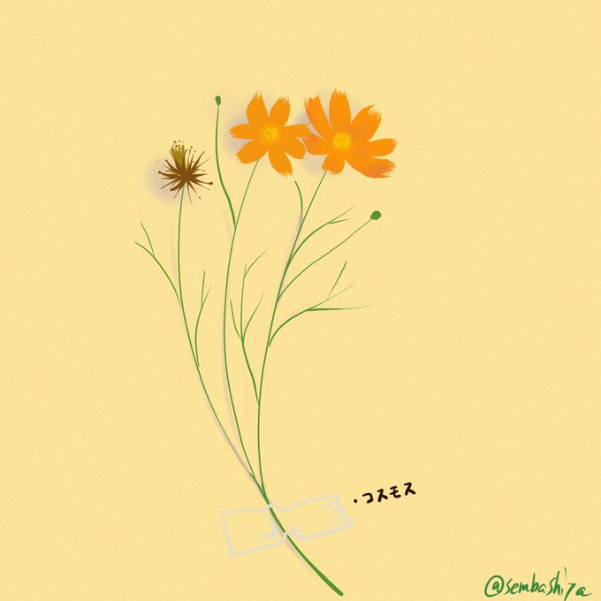 コスモスの日のtwitterイラスト作品