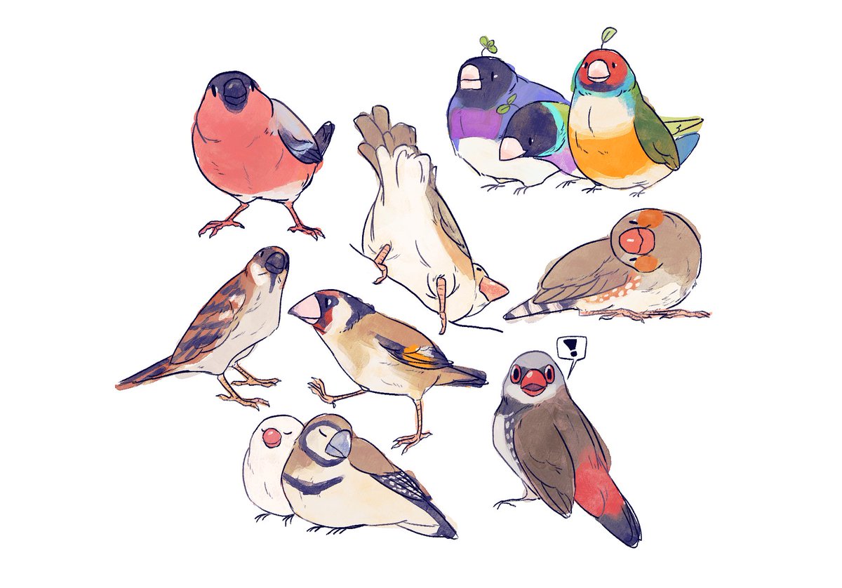 Twoucan Finches の注目ツイート イラスト マンガ コスプレ モデル