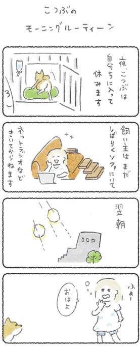 毎週月よう日はこつぶ新作の日?

犬のモーニングルーティンを利用してやりました?
全文はリンクからぜひ
https://t.co/jWLTrVA5VN
(15日10時まで会員さんでなくても読めます)

よろしくお願いします。? 