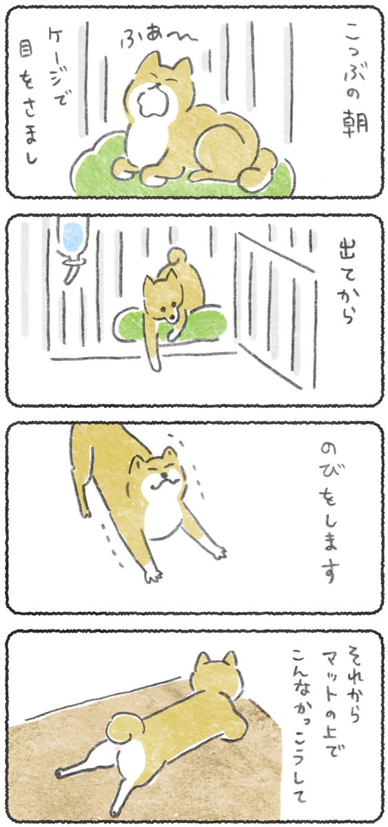 毎週月よう日はこつぶ新作の日?
犬のモーニングルーティンを利用してやりました?
全文はリンクからぜひ
https://t.co/jWLTrVA5VN
(15日10時まで会員さんでなくても読めます)
よろしくお願いします。?