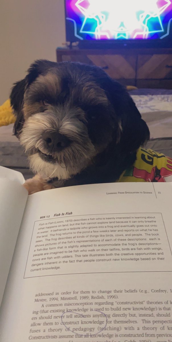 DrOsman_EDU's tweet photo. #bedtimereading #howpeoplelearn for @NISLorg this week with my favorite assistant, Teddy ๐ถ @OrangeUnifiedCA https://t.co/bBCVVTocCm