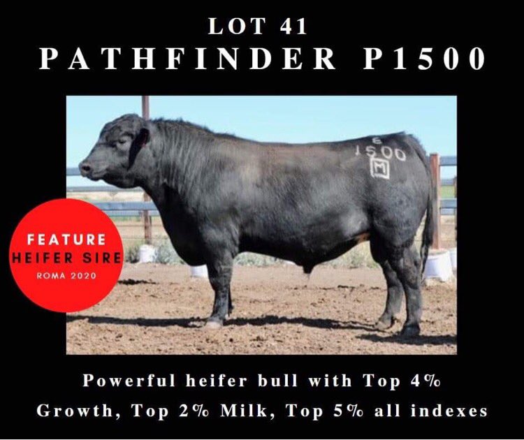 Pathfinder Angus tweet media