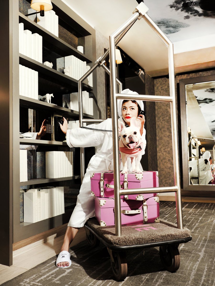 whongkong's tweet photo. Show your pet’s stylish moments with us! Check out our P.A.W. Audition and win a complimentary stay and photo shooting! 
https://t.co/mmMdas3czy
#whongkong #petstyling #PetsAreWelcome #PAW #staycation #petstaycation https://t.co/RnGWOXoNun