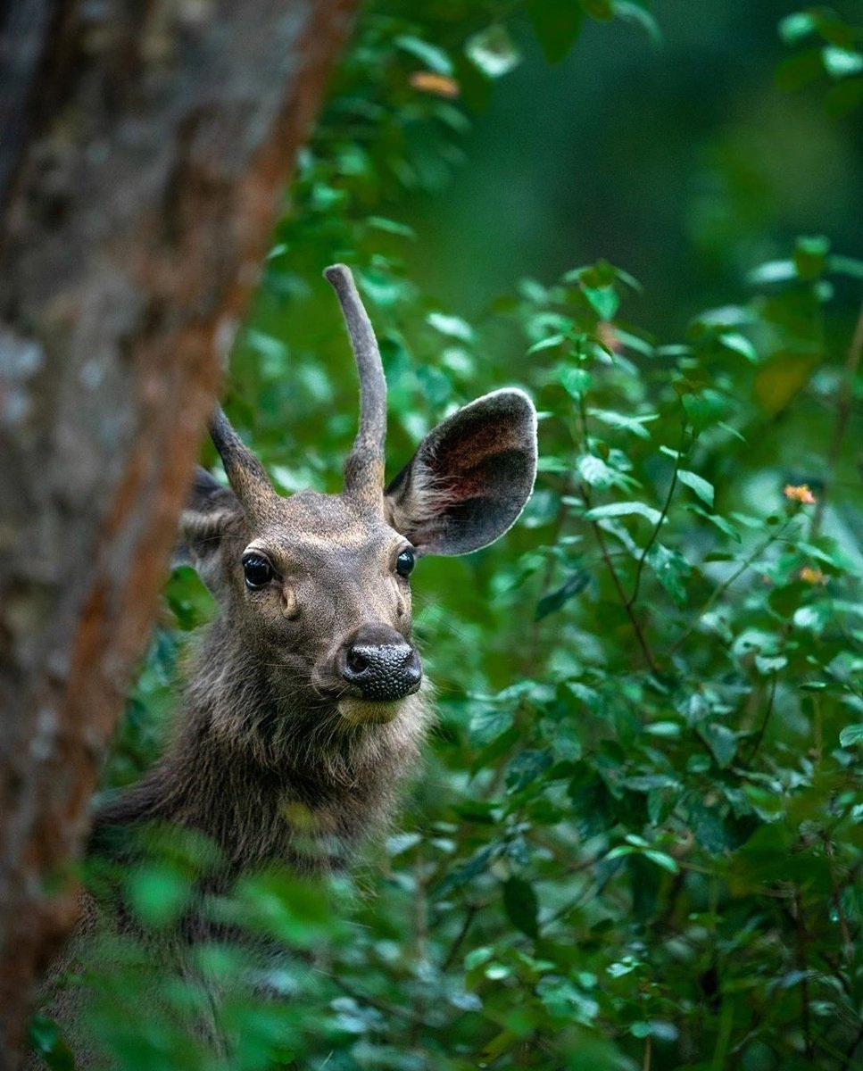 The Nature (@deepsoulnature) on Twitter photo 