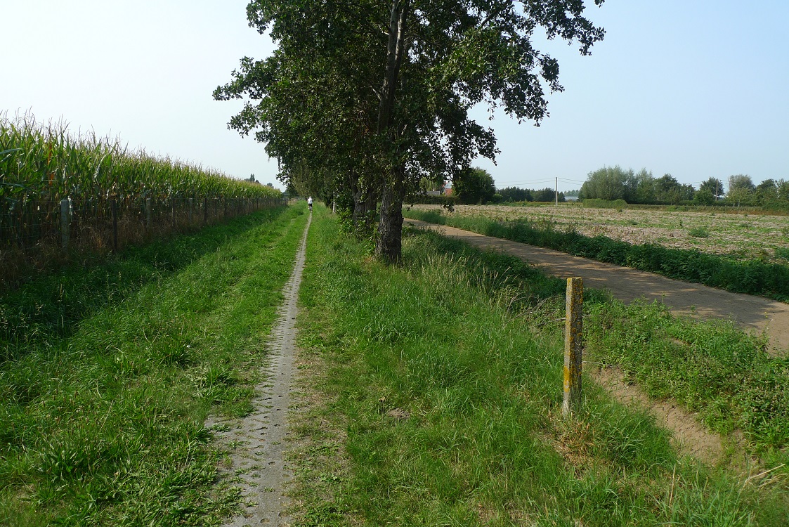 RolandDerveaux's tweet photo. 11 september - Rondje gefietst op (één van) mijn lievelingsparcours (Zingem-Oudenaarde-Nazareth-Kruisem) - Deel 2: #Huise, #Nazareth, #Kruisem, #Wannegem, Huise. Meer beelden op https://t.co/1mBemigAwN https://t.co/jjdIzb5MN0