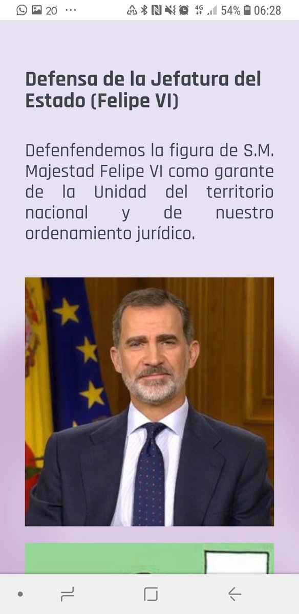 El president de Foro Baleares, el monàrquic Sergio Bota Campos, amenaça els governants actuals i els qualifica de "gobierno de indecentes, criminales e incompetentes".